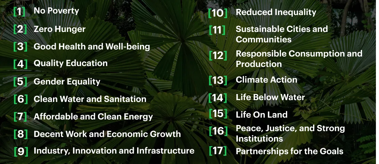A Full Breakdown Of The UN Sustainable Development Goals