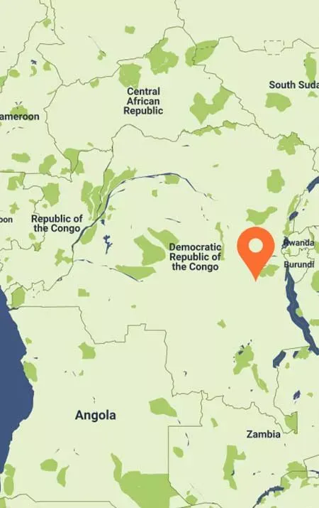 Eastern DRC: Protect Africa’s Biodiversity Hotspot