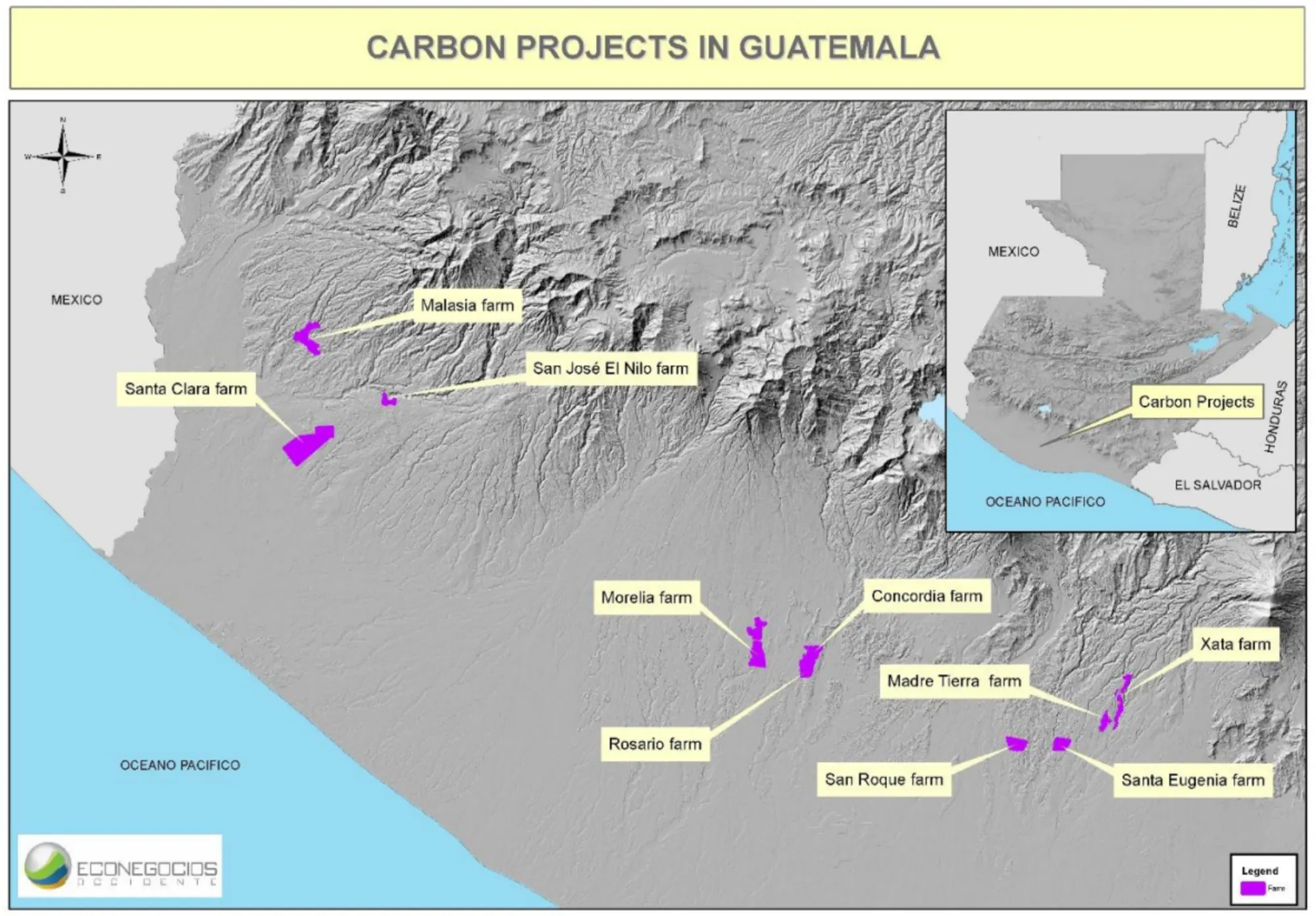 Rubber Forest Reforestation in Guatemala