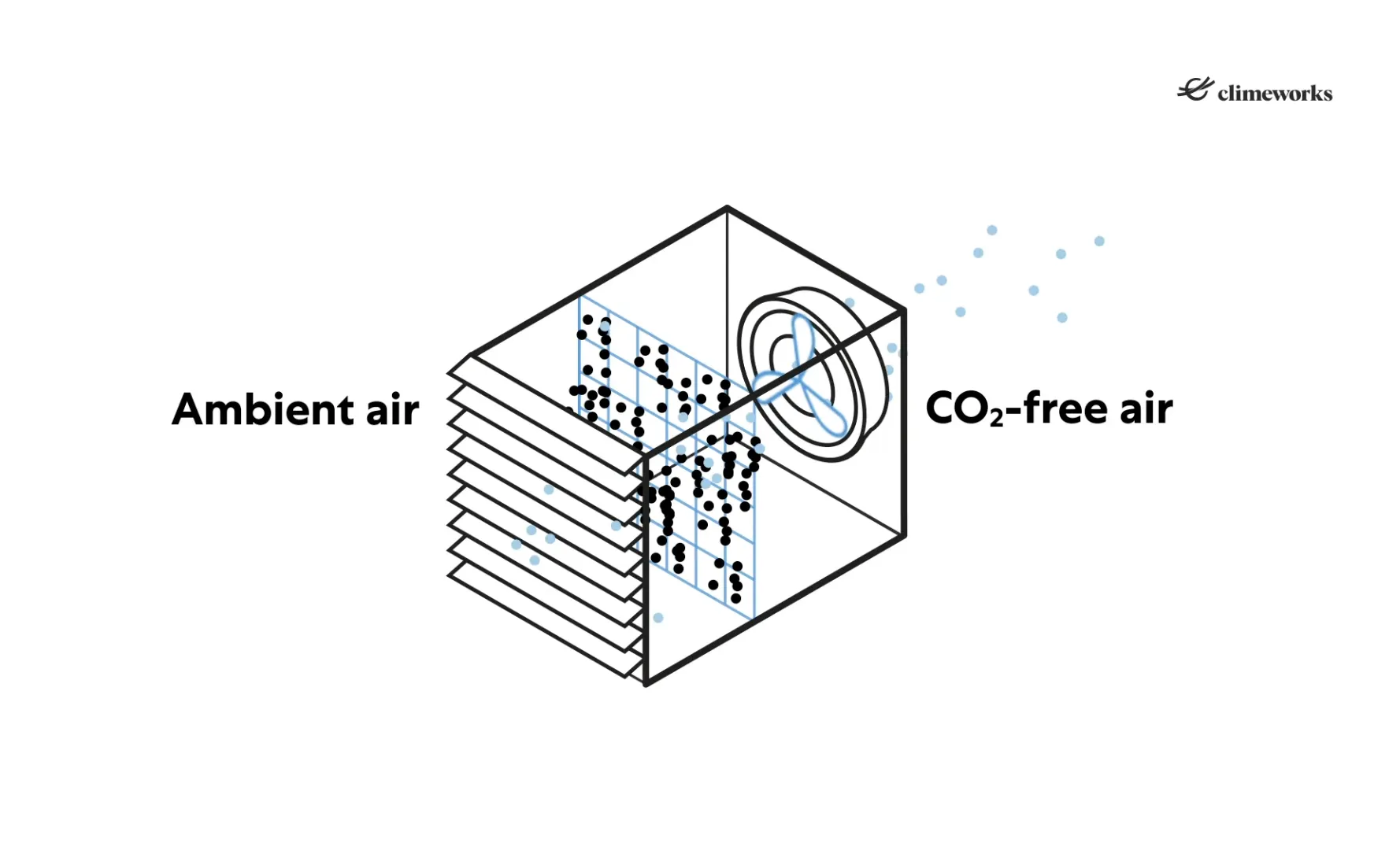 What Are Carbon Offsets? Everything You Need To Know