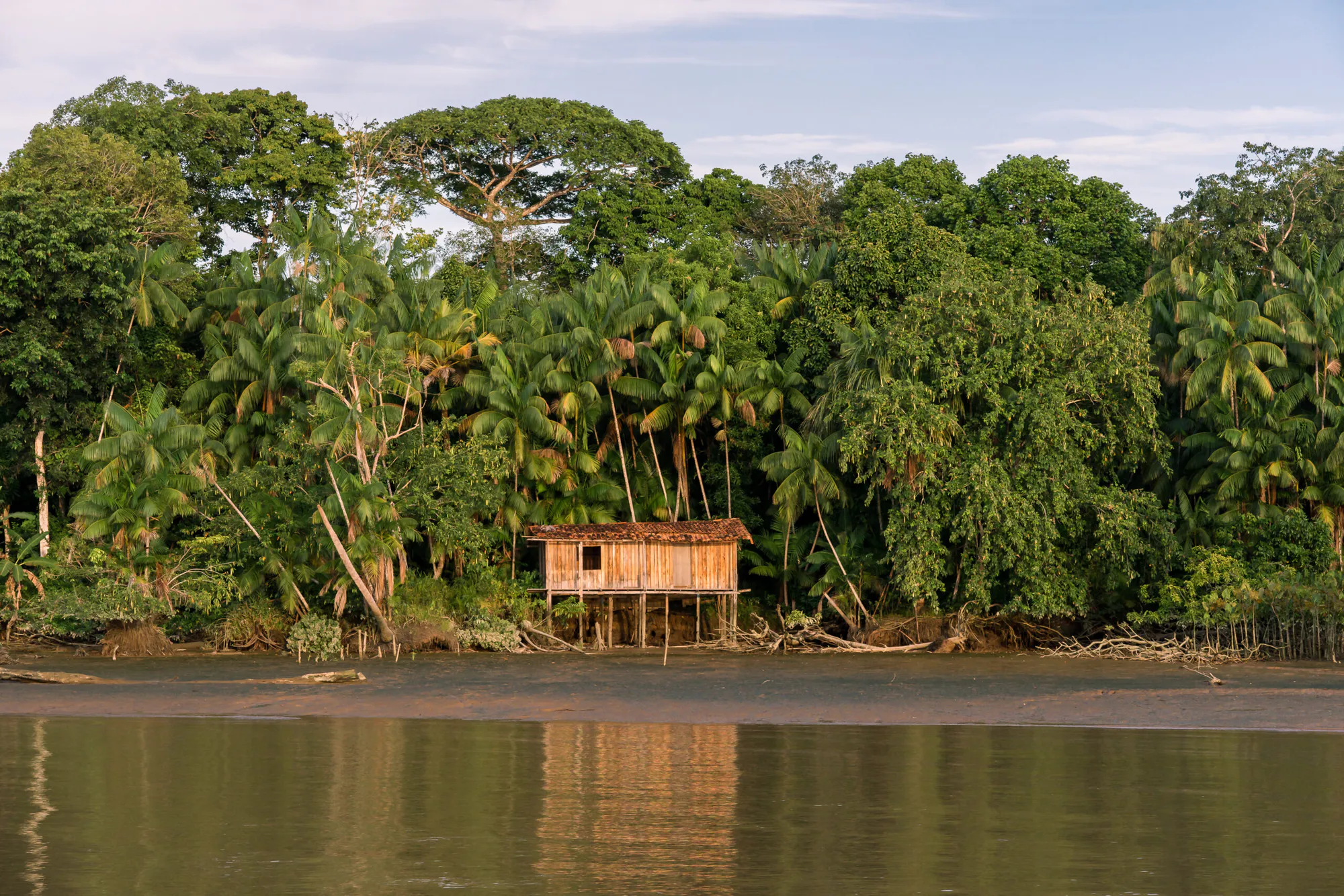 Rio Anapu-Pacaja REDD+ Project