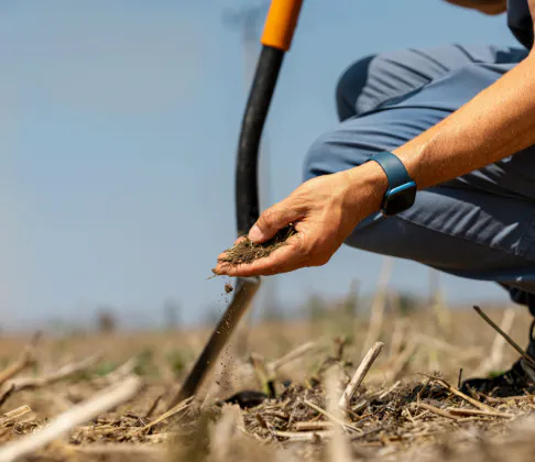 Agreena Carbon Soil Restoration and Carbon Removals Project