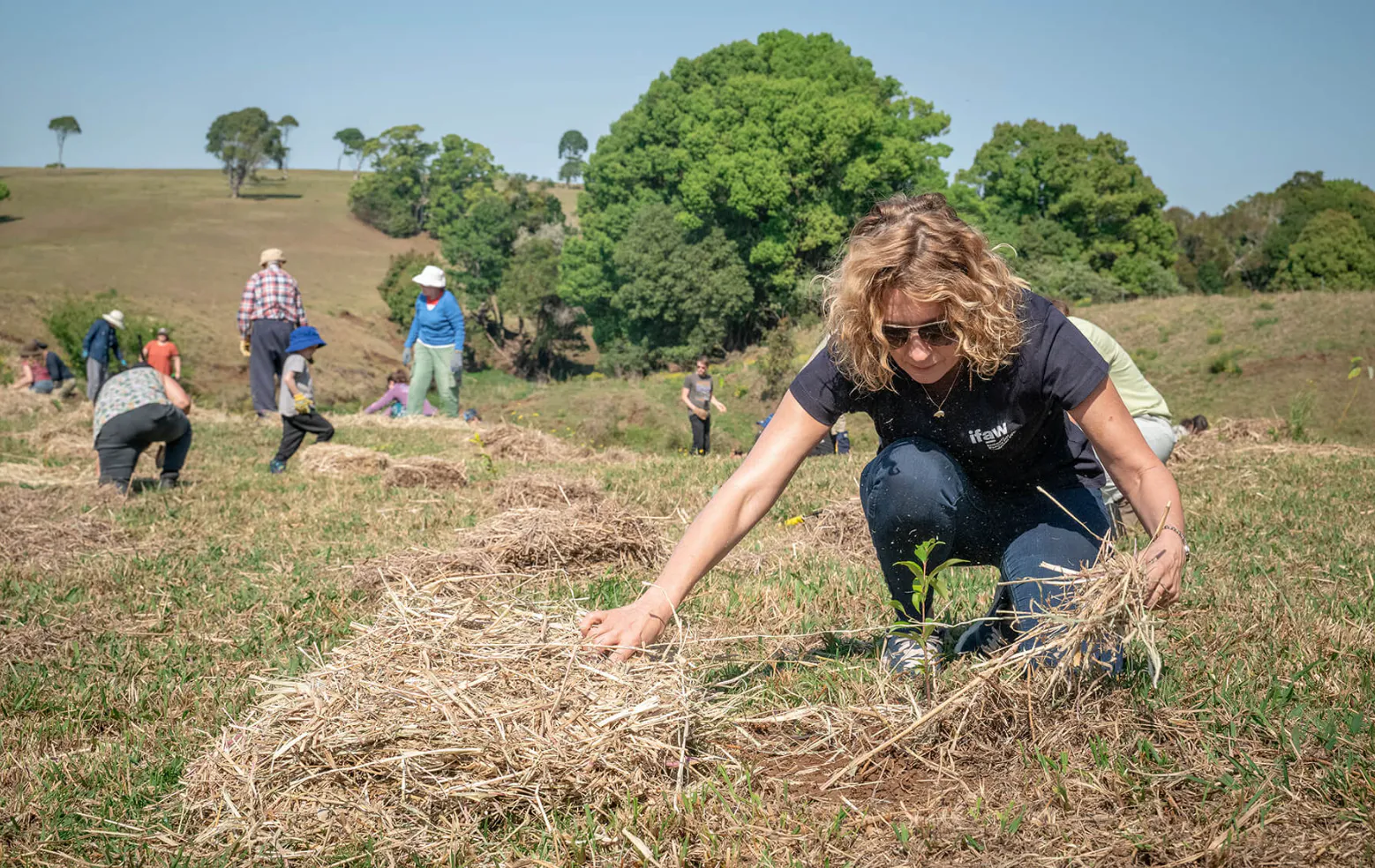 Restoring the Ancient Celtic Rainforest In Cornwall