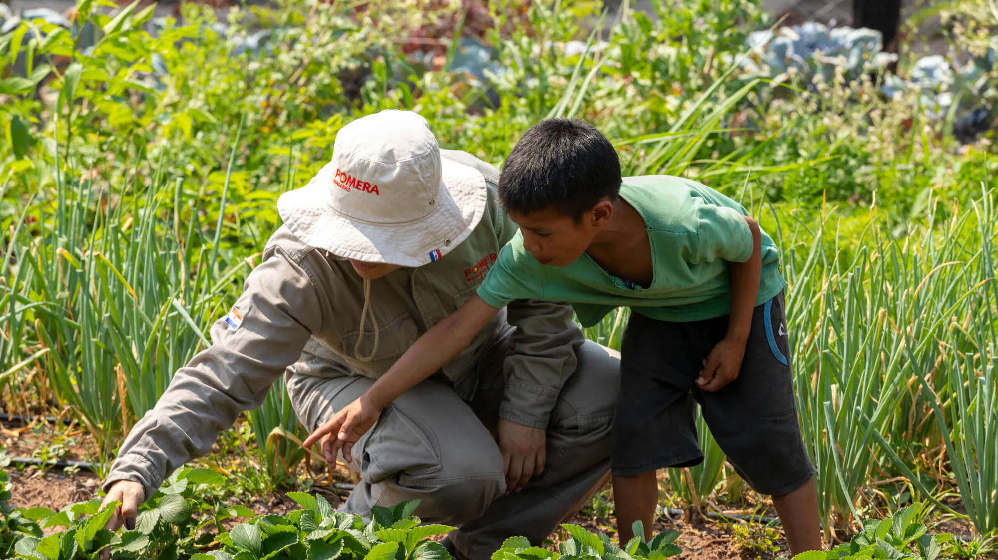 Mixed Planting of Native and Non-Native Species in Paraguay-I