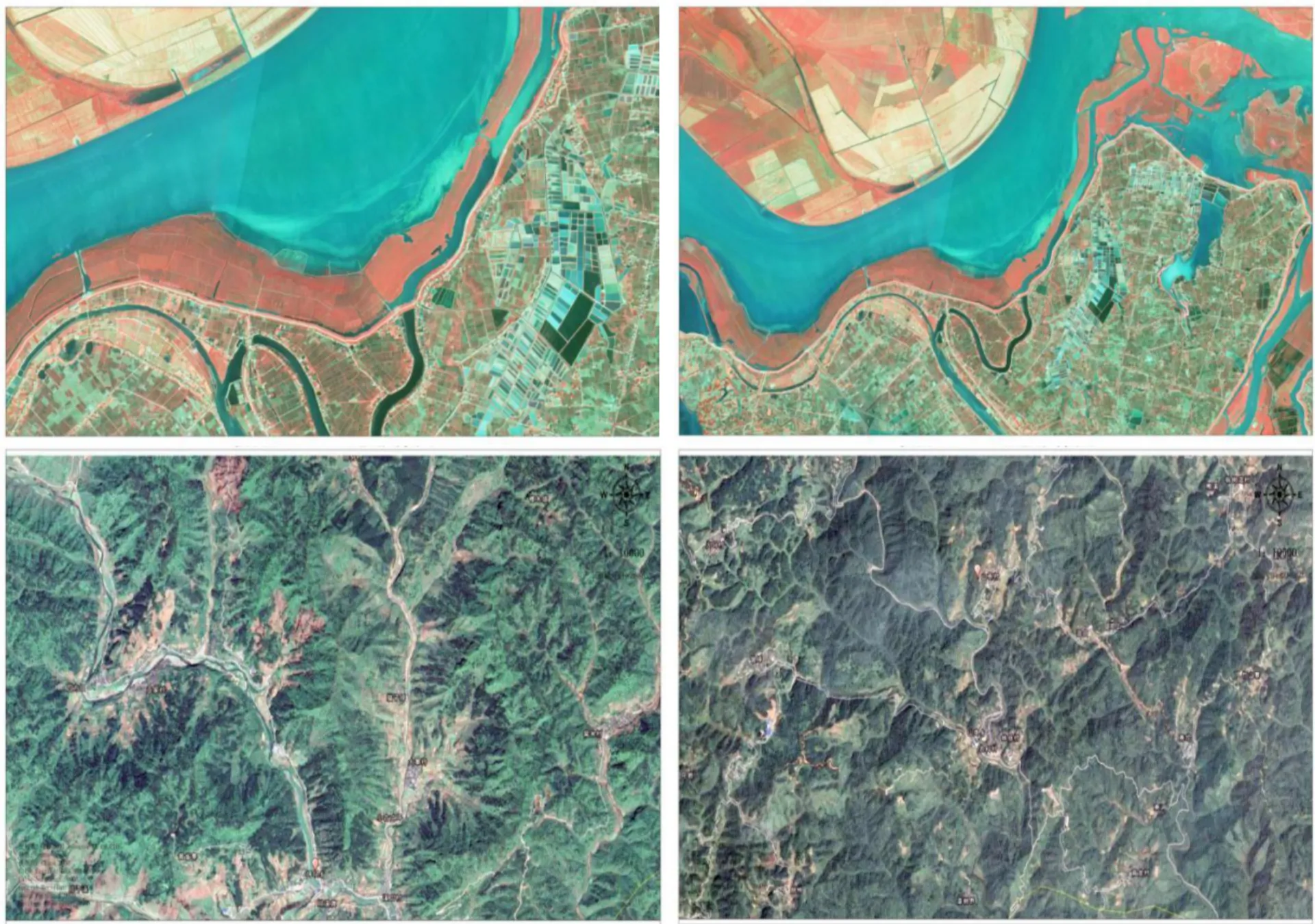 Carbon Removals Project Reforesting Barren Lands