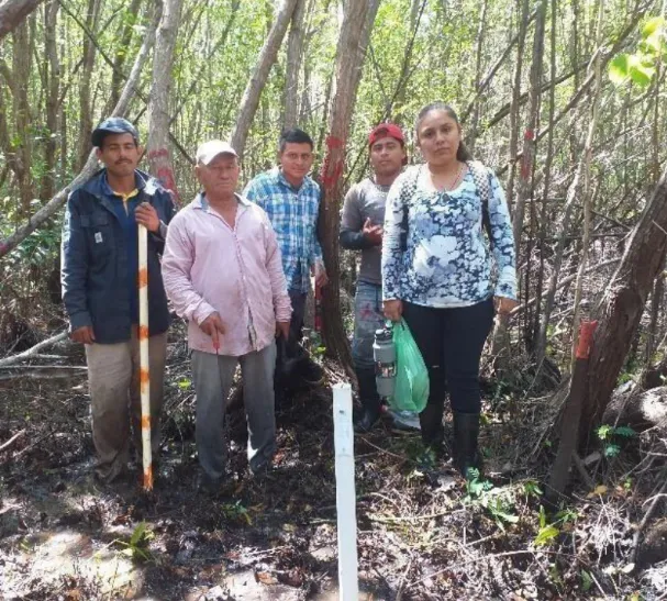 Mangrove Restoration in Mexico – Manglares Ursulo Galvan
