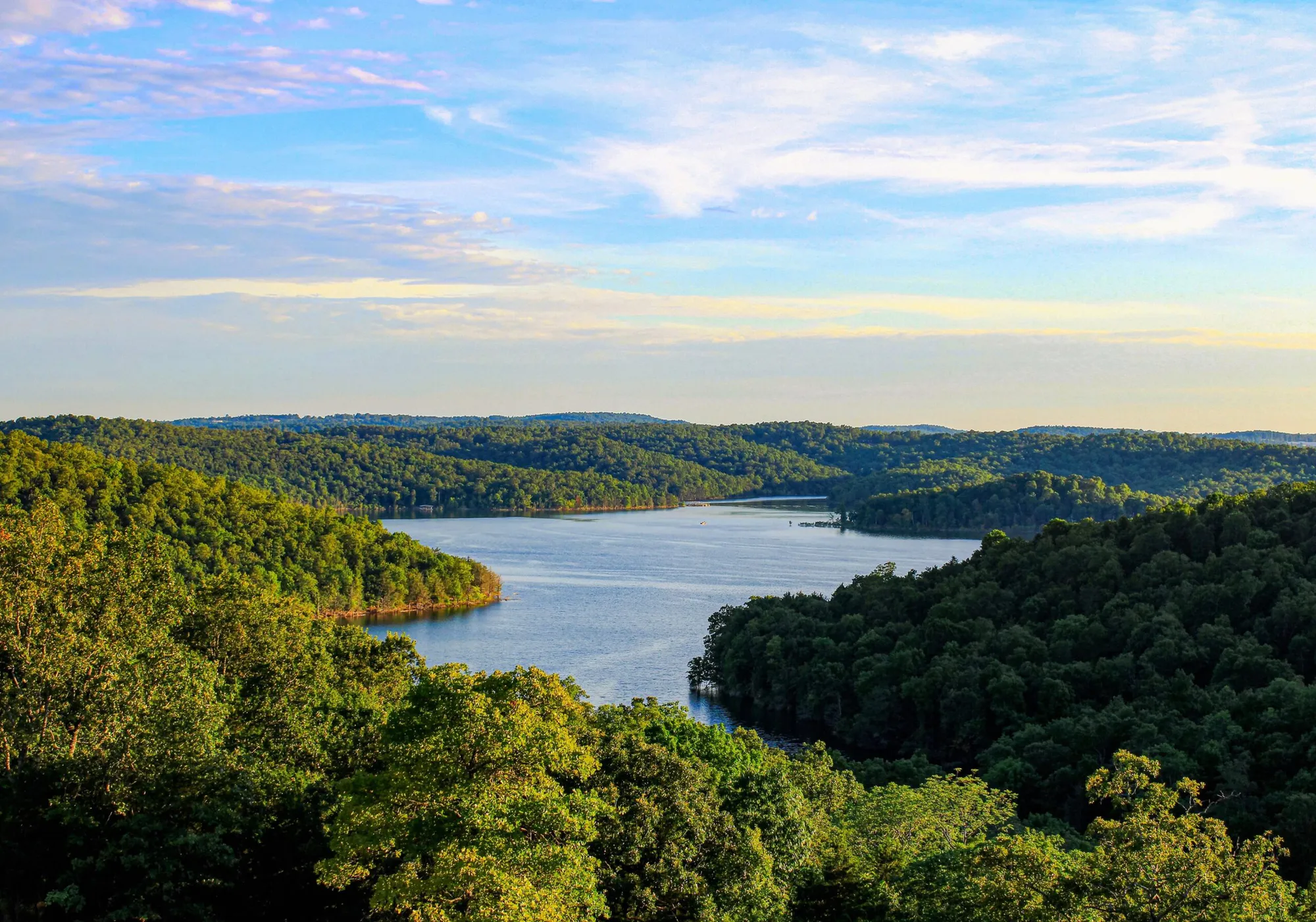 GreenTrees ACRE – Advanced Carbon Restored Ecosystem Project