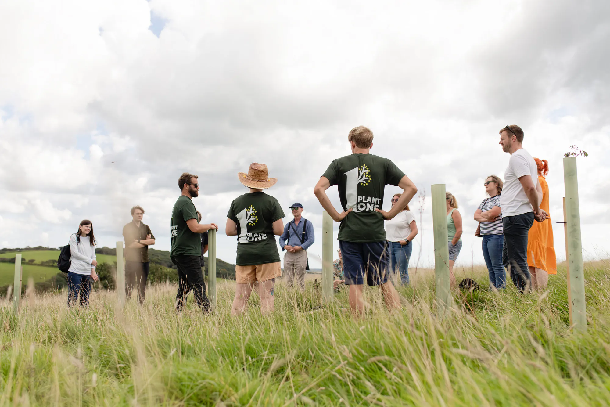 Restoring the Ancient Celtic Rainforest In Cornwall