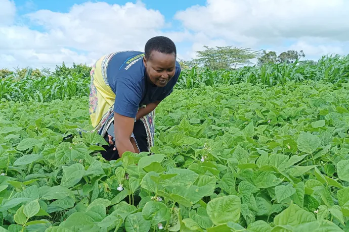 Cultivating Carbon: Regenerating East Africa’s Soils