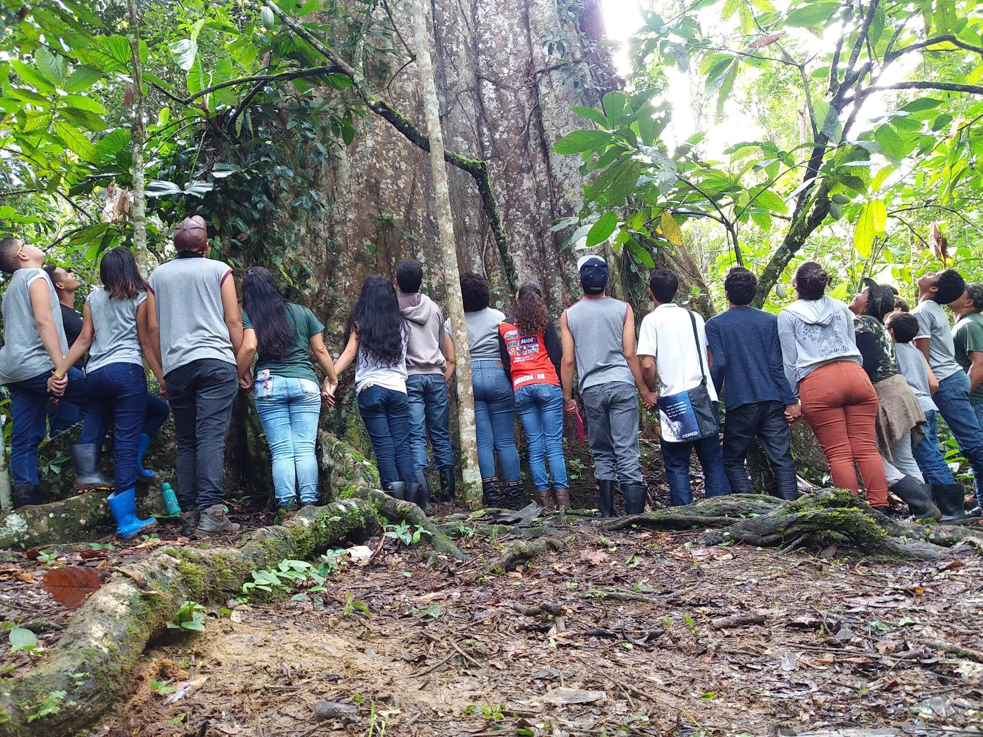 Protect biodiverse Atlantic Forest in Brazil’s Serra Bonita Mountain Range