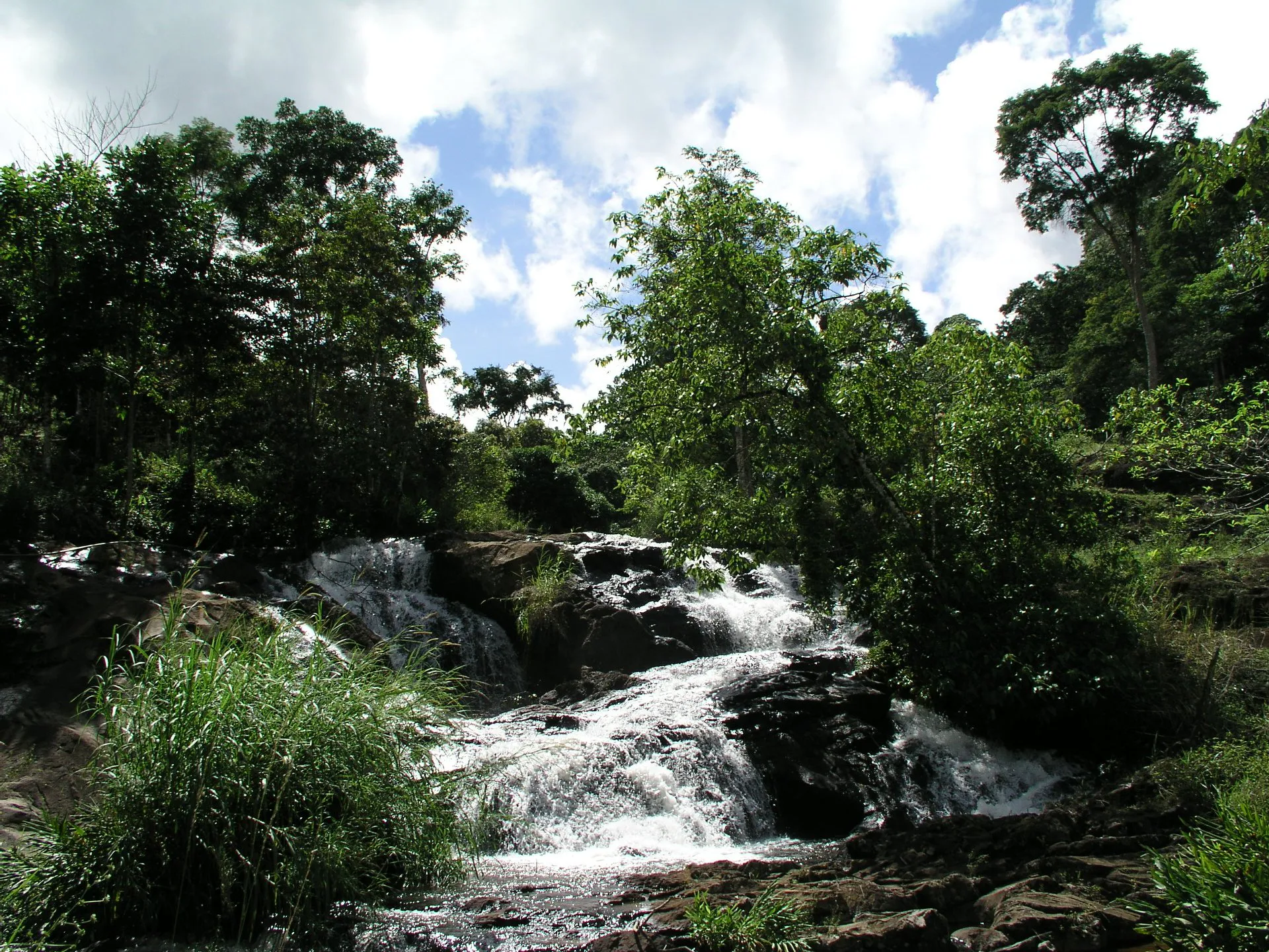 Protect biodiverse Atlantic Forest in Brazil’s Serra Bonita Mountain Range