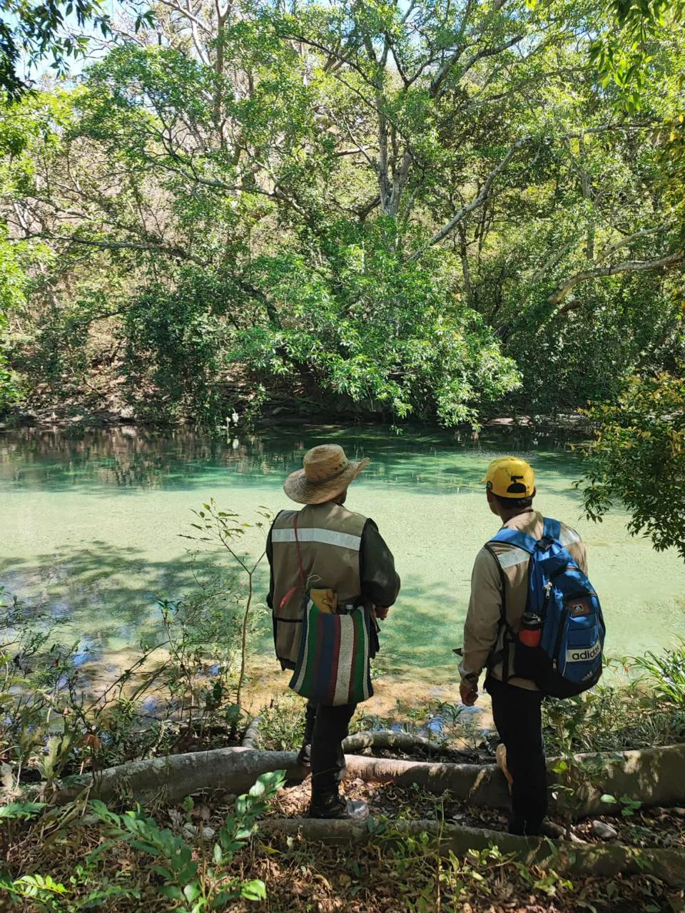 Preserving Indigenous Forest Landscapes in Oaxaca