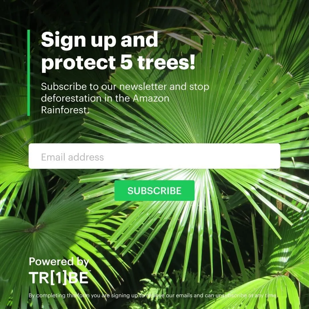 8 Rules for Marketing Sustainable Products Ethically and Effectively
