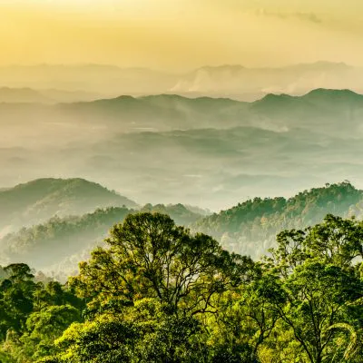 Protecting Malaysia’s Rainforests