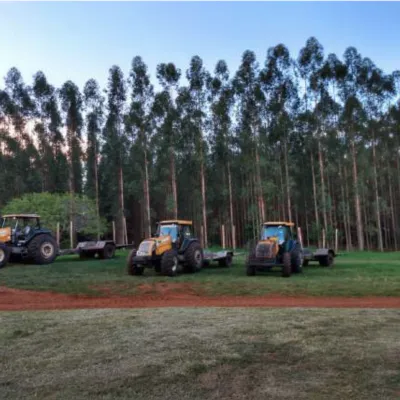 Savannah Regeneration and Recovery Agroforestry Project