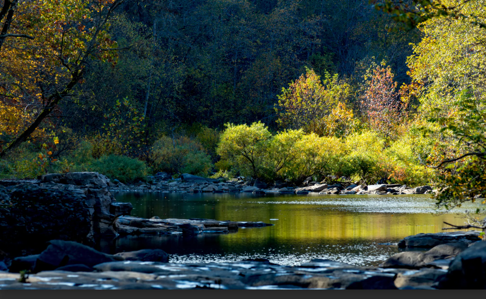 Northwest Arkansas Forest Conservation